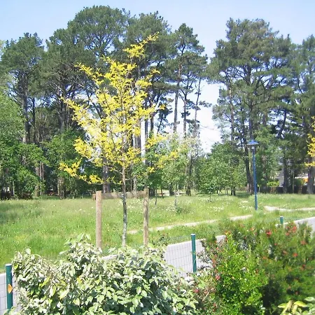 Maison Familiale A 150m De La De Quimiac *