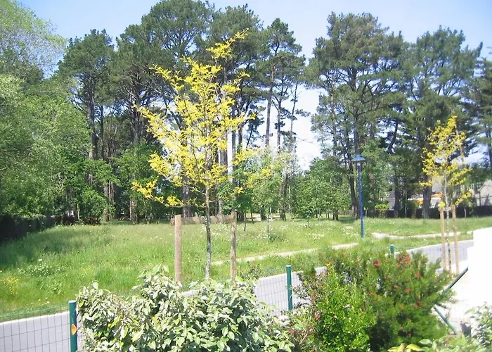 Maison Familiale A 150m De La De Quimiac *